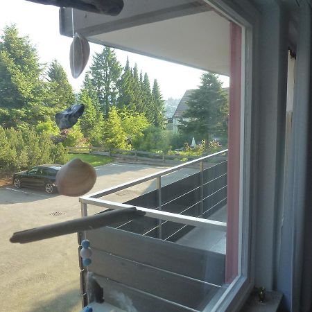 Moderne, Ruhige Ferienwohnung In Braunlage Harz Inkl Wlan & Netflix מראה חיצוני תמונה