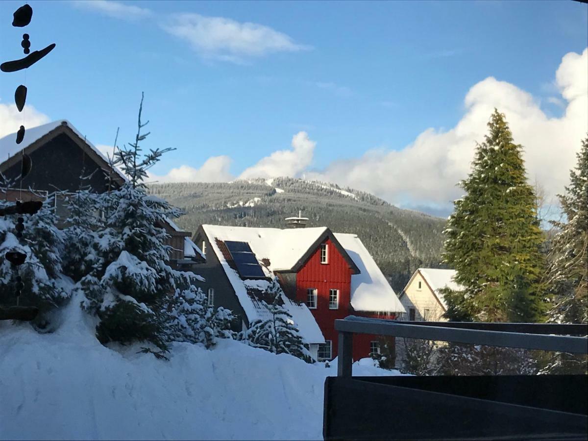 Moderne, Ruhige Ferienwohnung In Braunlage Harz Inkl Wlan & Netflix מראה חיצוני תמונה